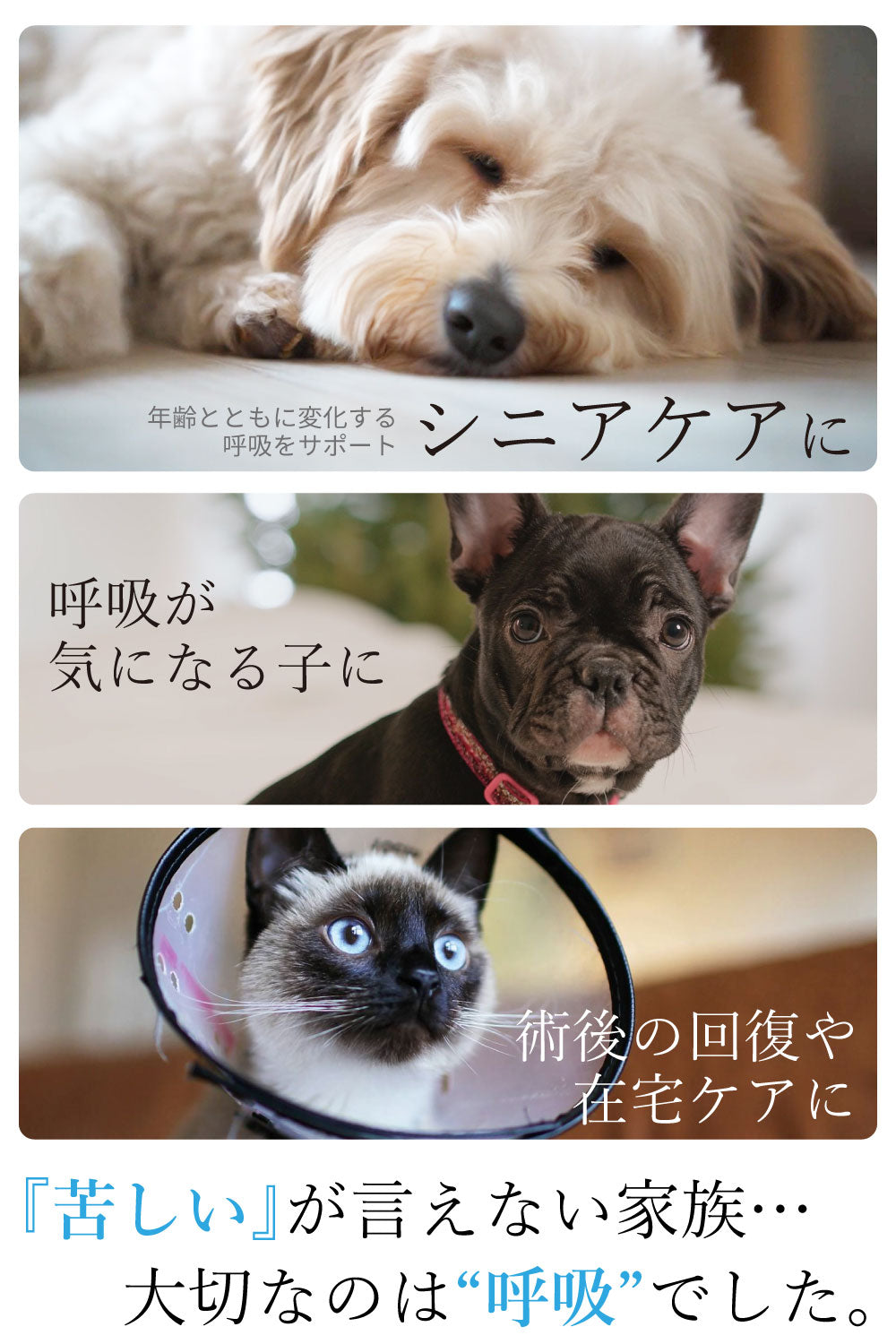 rescue O₂ ペット酸素発生器 安定供給 酸素吸入器 軽量 コンパクト 犬 猫 ペット用 日本語パネル 動物病院推奨